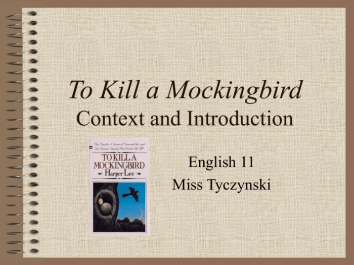 Dictum definition to kill a mockingbird