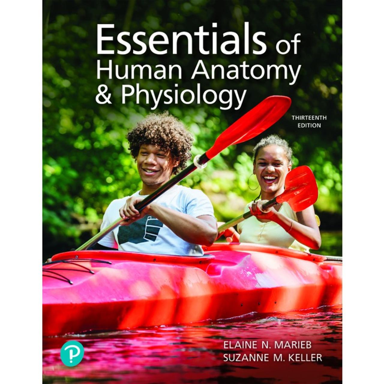 Marieb anatomy and physiology 13th edition