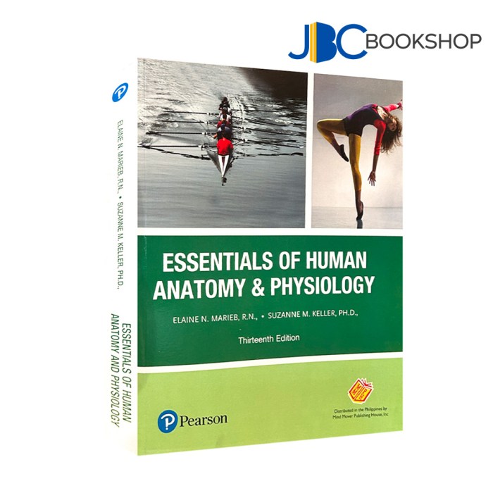 Marieb anatomy and physiology 13th edition