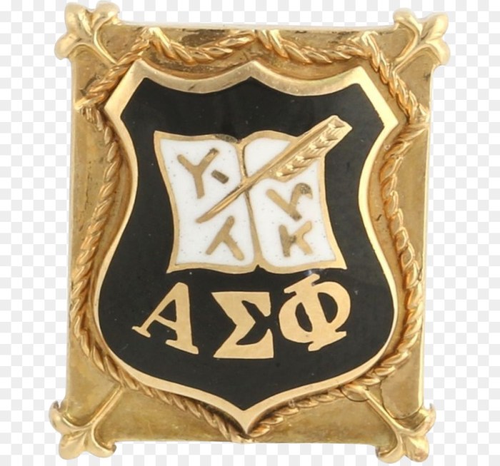 Alpha sigma phi pledge pin