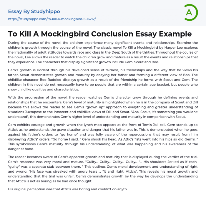 To kill a mockingbird topics for essays