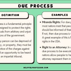 Which constitutional principle does this graphic illustrate