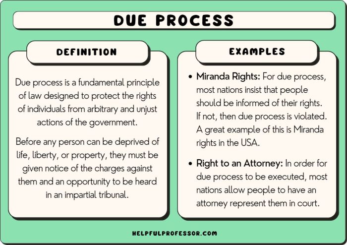 Which constitutional principle does this graphic illustrate